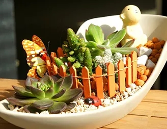 盆花展示